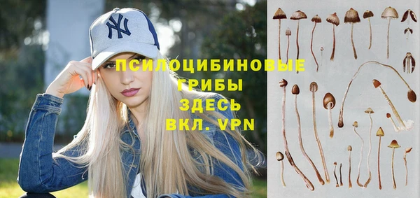 первитин Белокуриха