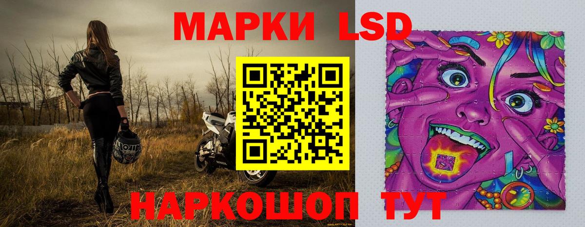 Марки N-bome 1500мкг  Вход с VPN  где продают   Марки N-bome  Волжск  Марки N-bome 1500мкг 