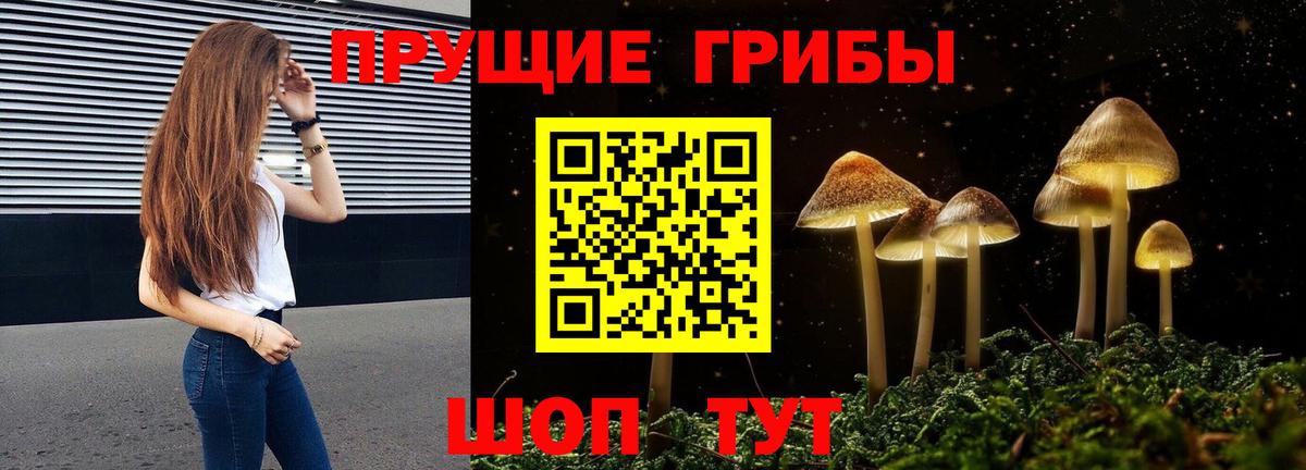 Волжск  Псилоцибиновые грибы Cubensis  Вход с VPN 